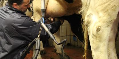 Kalte Finger und Füße im Melkstand? Mit Heizwesten, Wärmestrahlern und der Nutzung von Abwärme sorgen Landwirte auch bei frostigen Temperaturen für angenehmere Arbeitsbedingungen beim Melken.
