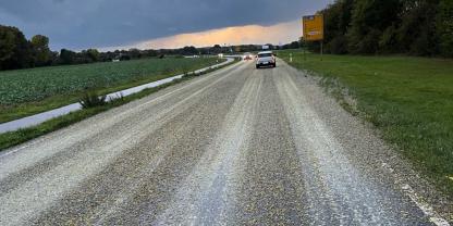 Kürbiskerne liegen auf einer Straße verteilt
