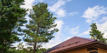 Bäume-Haus-AdobeStock_2040611419