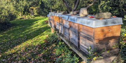 Am Bienenstand zieht der Herbst ein und die Bienen bereiten sich auf den nahenden Winter vor.