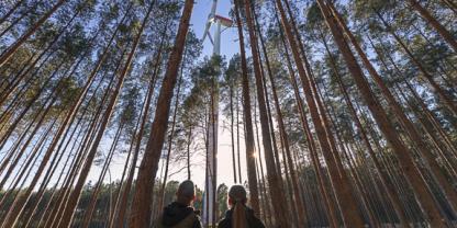 Mit Windkraft im Forst verantwortungsvoll Einnahmen steigern