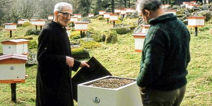 Bruder Adam ist der Vater der Buckfast-Biene: Er kreuzte anfangs Italienische Bienen mit der englischen Landrasse und erreichte so resistentere Völker gegen die Tracheenmilbe.